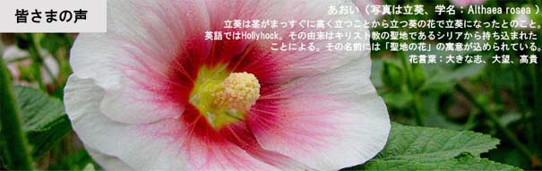 F܂̐